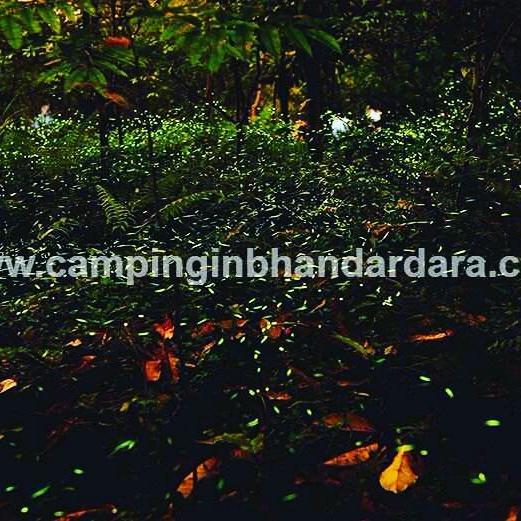 Hotel Samadhan Бхандардара Экстерьер фото